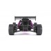Baha 10B 2WD BRUSHLESS Buggy - PURPLE │ FREE SHIPPING Baha 10B 2WD BRUSHLESS Buggy - PURPLE │ FREE SHIPPING